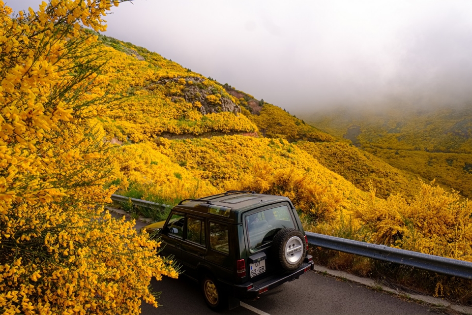 Passear na pérola do Atlântico, de jipe e de barco