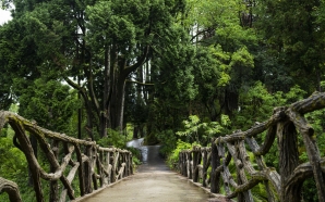 Jardins da Quinta do Castelo: romantismo puro em Santa Maria da Feira