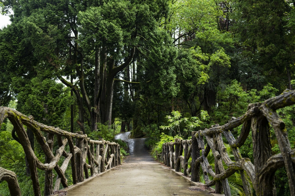 Jardins da Quinta do Castelo: romantismo puro em Santa Maria da Feira
