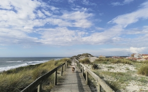 Esta semana fomos caminhar na praia, comer fora e passear no Gerês
