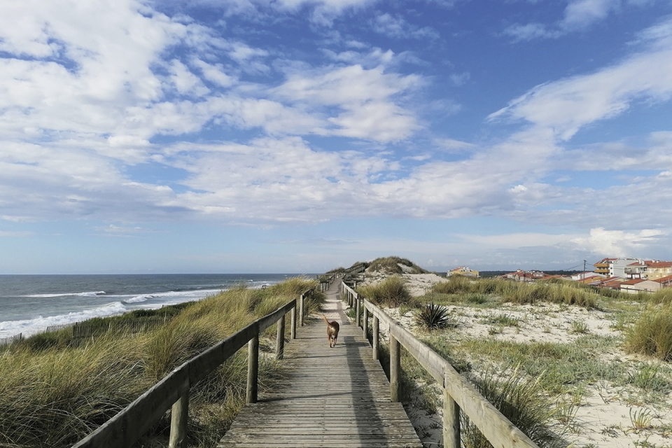 Esta semana fomos caminhar na praia, comer fora e passear no Gerês