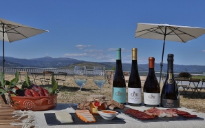 Festa do Alvarinho e do Fumeiro de Melgaço regressa esta semana