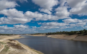 Alcácer do Sal promove a primeira Rota do Arroz nos seus restaurantes