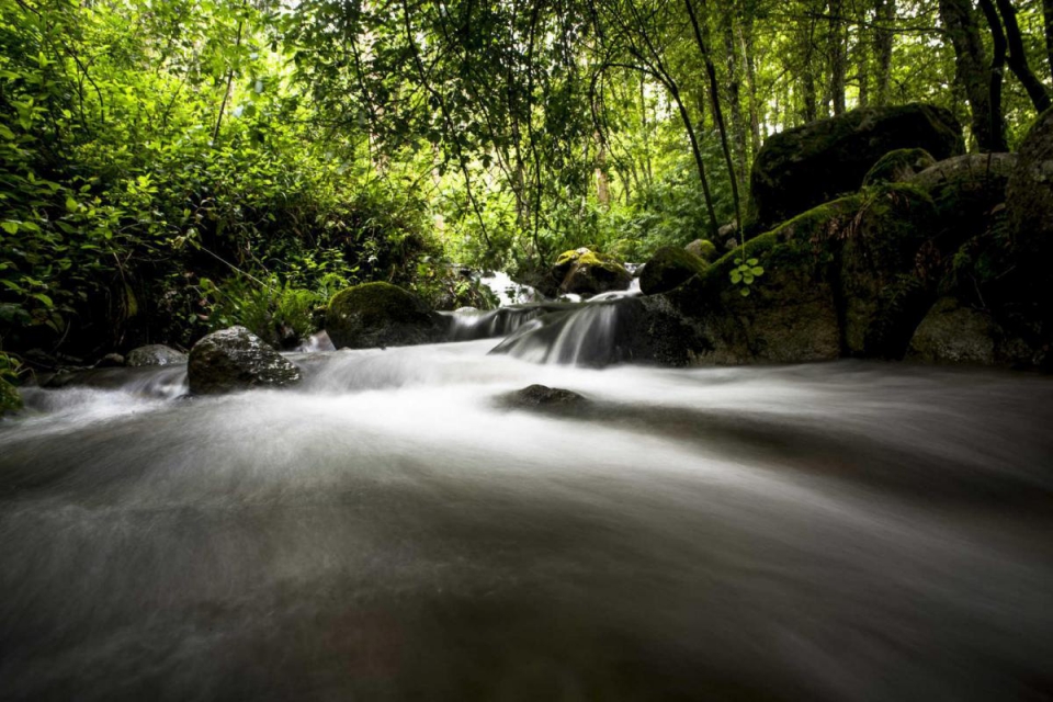 Serra de Monchique vai receber o seu primeiro Festival de Caminhadas