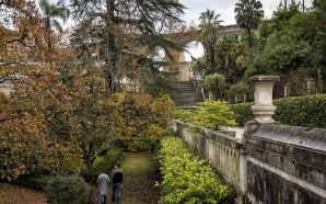 Um passeio a pé por séculos de história, em Coimbra