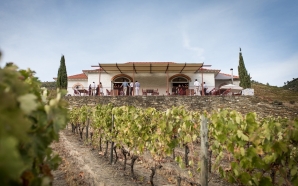 Chef Pedro Lemos volta ao Pinhão com restaurante junto às vinhas Symington