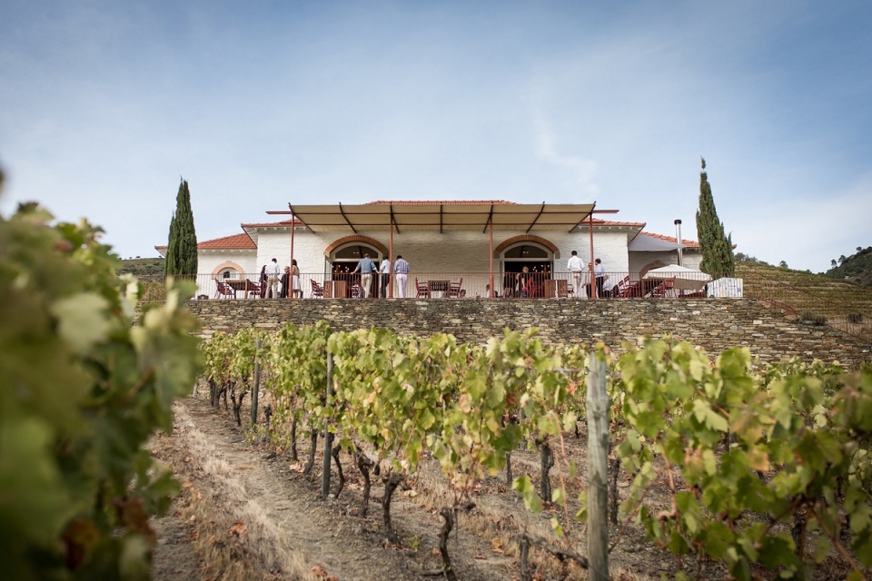 Chef Pedro Lemos volta ao Pinhão com restaurante junto às vinhas Symington