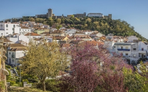 Festival leva teatro, circo, exposições e dança para as ruas e jardins de Palmela