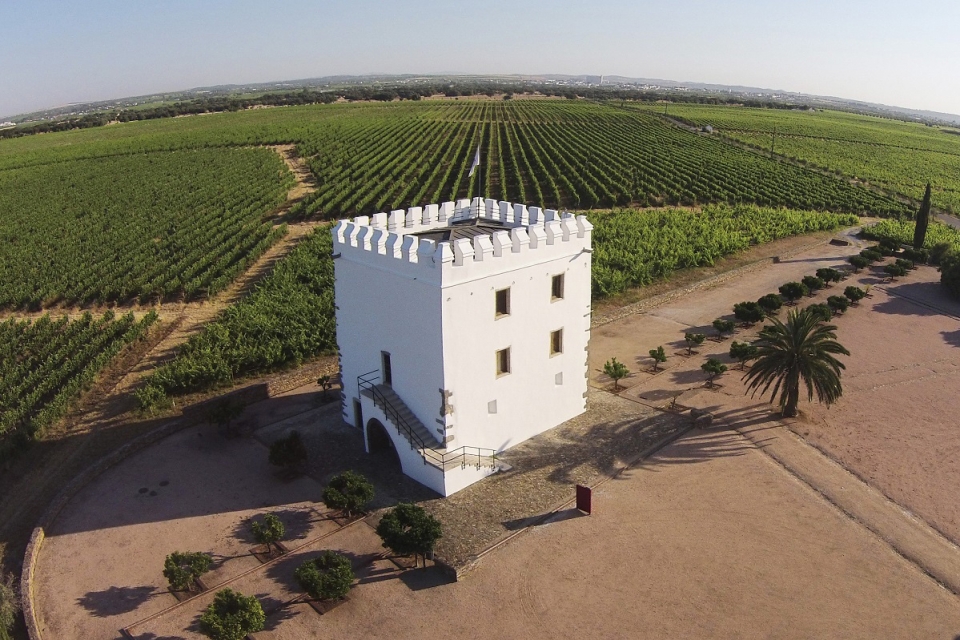 Enoturismo: passear pelo Alentejo, de copo na mão