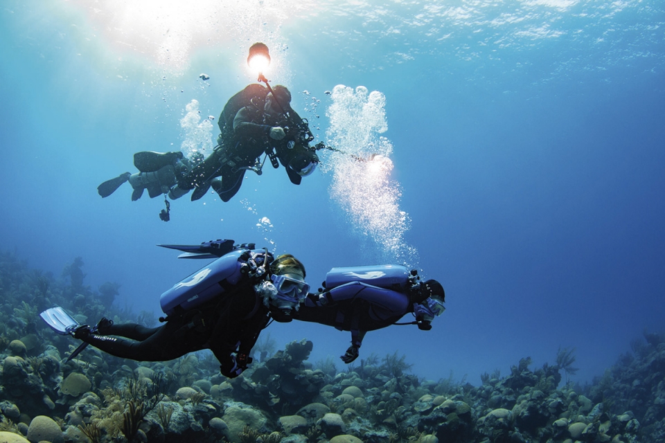 Documentários, séries infantis e cozinha para ver na televisão