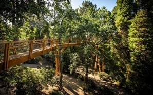 Jardim de Serralves vai acolher exposição noturna ao ar livre