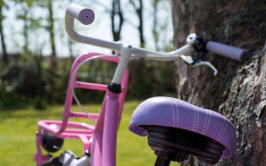 Crónica de Dora Mota: O poder do ter nada para fazer