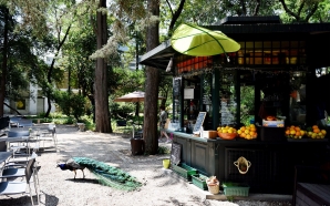 Quiosque Pimenta: a recente esplanada num jardim recatado do Campo Grande