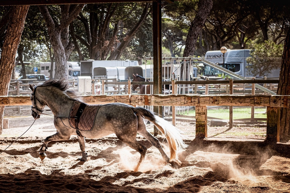 Programas para fazer com os mais novos, de Lisboa ao Algarve