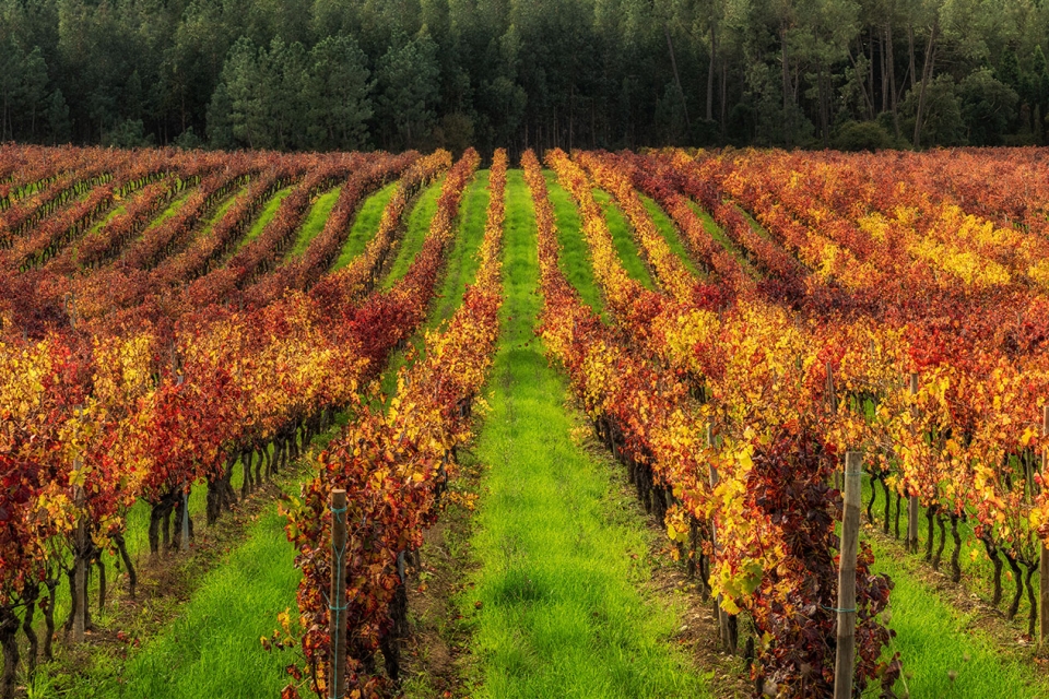 AdobeStock_417967917_web