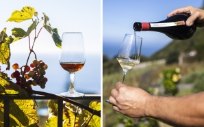 Roteiro pela Madeira: na pérola do Atlântico, a joia são&hellip;