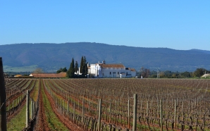 Os vinhos da Serra d’Ossa celebram-se o ano todo com&hellip;